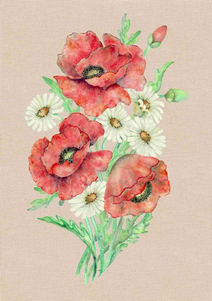 Very Special Poppies & Daisies Download - over 400 Pages